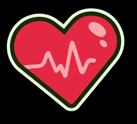 Heart